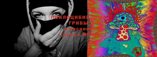 2c-b Михайлов