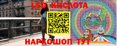 ECSTASY Гатчина