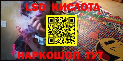 шишки Изобильный