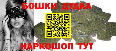 шишки Изобильный