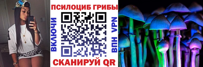 Галлюциногенные грибы мицелий  где можно купить наркотик  Елец 