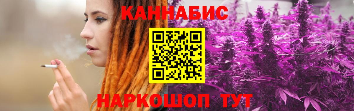 Галлюциногенные грибы Елец